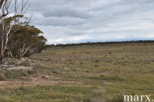 Sec 135 Pine Hut Road, SEDAN, SA 5353 AUS