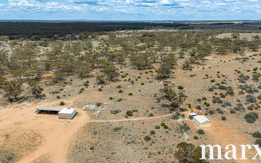 Sec 135 Pine Hut Road, SEDAN, SA 5353 AUS