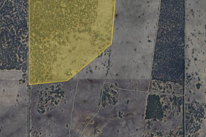 Lot 1 W Falkenbergs Road, SEDAN, SA 5353 AUS