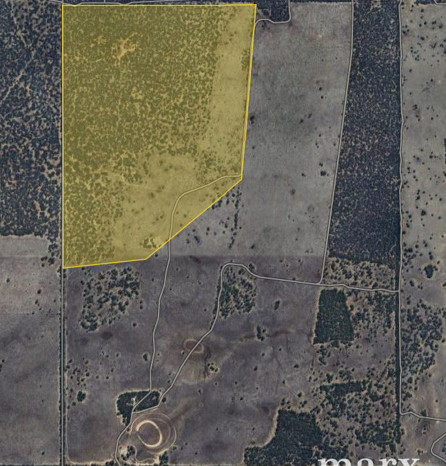 Lot 1 W Falkenbergs Road, SEDAN, SA 5353 AUS