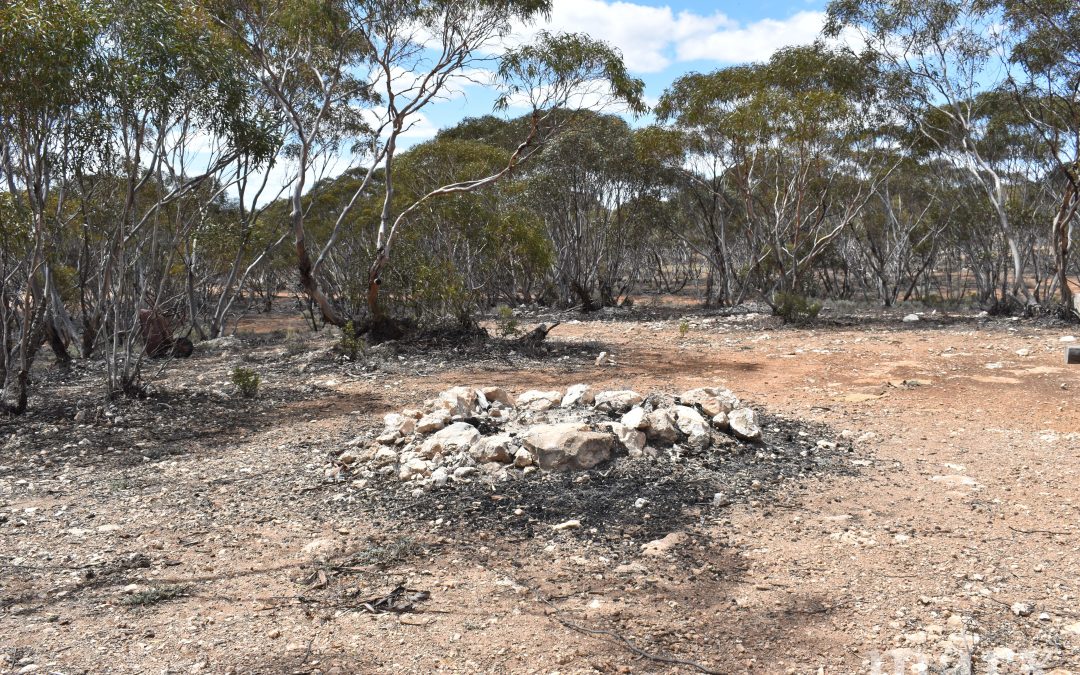 Lot 1 W Falkenbergs Road, SEDAN, SA 5353 AUS