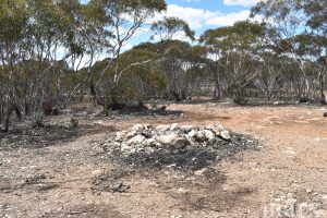 Lot 1 W Falkenbergs Road, SEDAN, SA 5353 AUS
