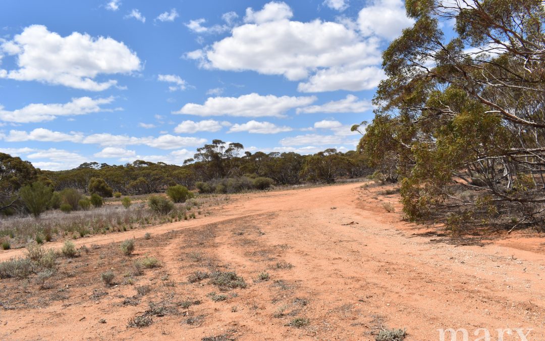 Lot 1 W Falkenbergs Road, SEDAN, SA 5353 AUS