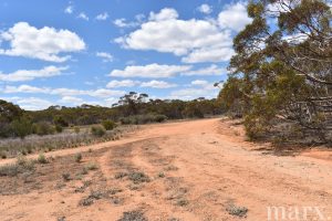 Lot 1 W Falkenbergs Road, SEDAN, SA 5353 AUS