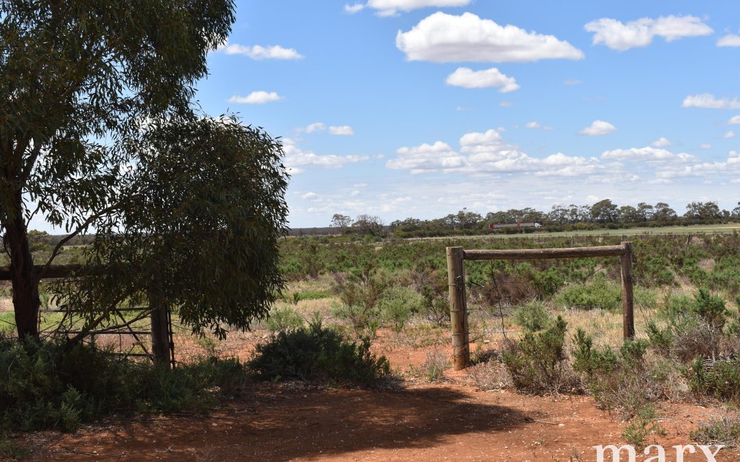 3965 Ridley Road, SEDAN, SA 5353 AUS