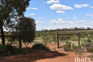 3965 Ridley Road, SEDAN, SA 5353 AUS