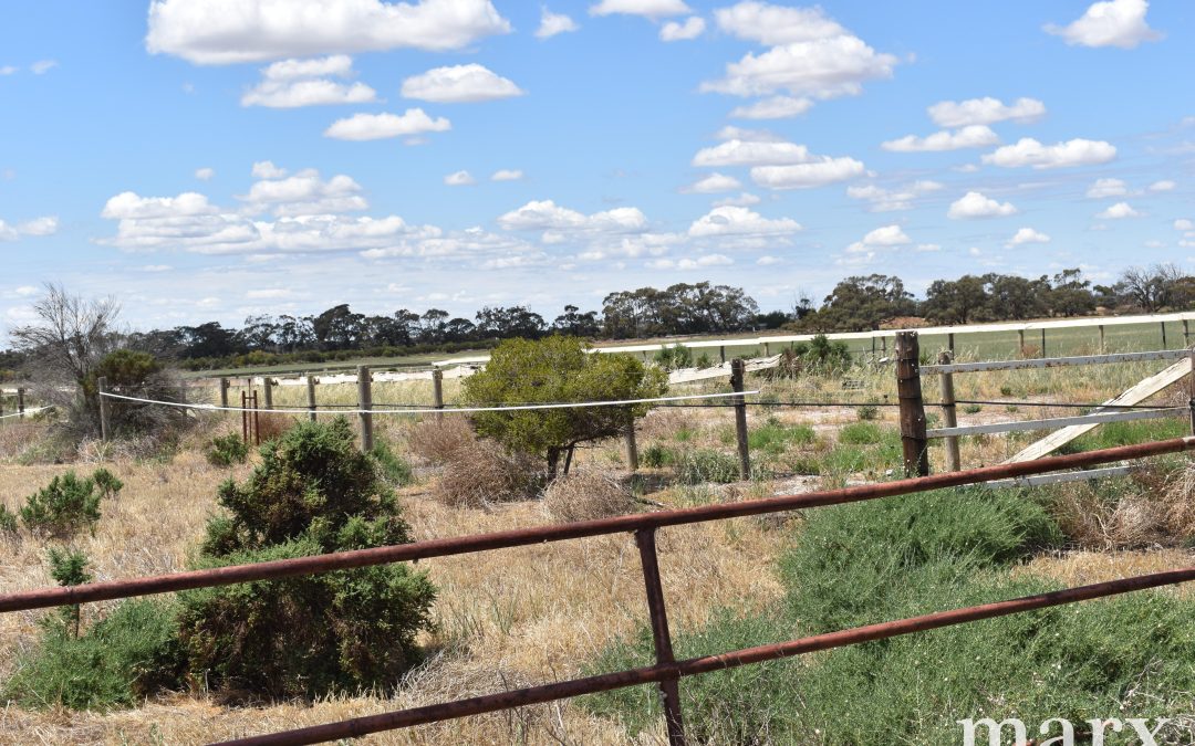 3965 Ridley Road, SEDAN, SA 5353 AUS