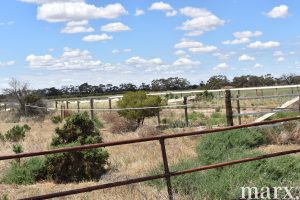 3965 Ridley Road, SEDAN, SA 5353 AUS