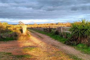 3965 Ridley Road, SEDAN, SA 5353 AUS