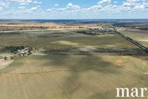 3965 Ridley Road, SEDAN, SA 5353 AUS