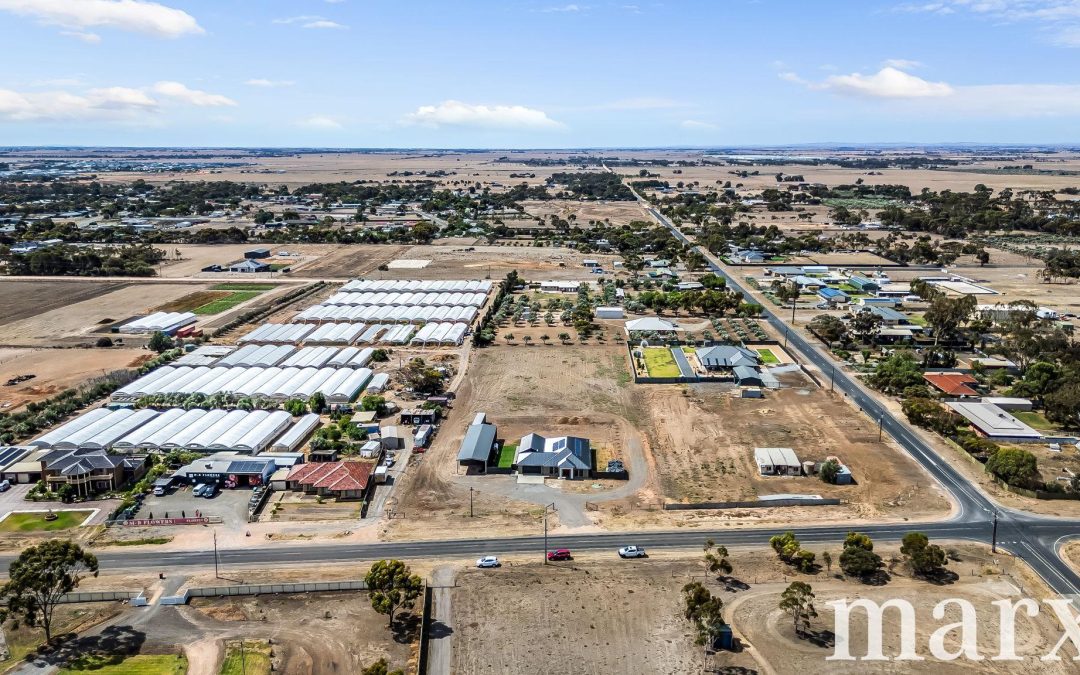 17 Dawkins Road, TWO WELLS, SA 5501 AUS