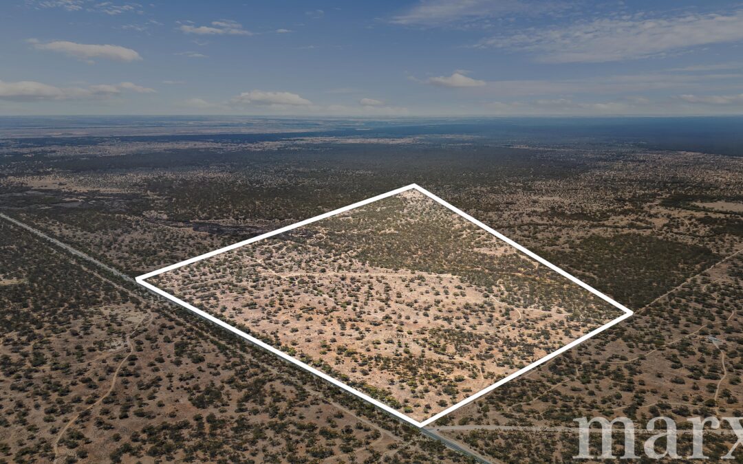 Section 273 Sturt Highway, SANDLETON, SA 5356 AUS