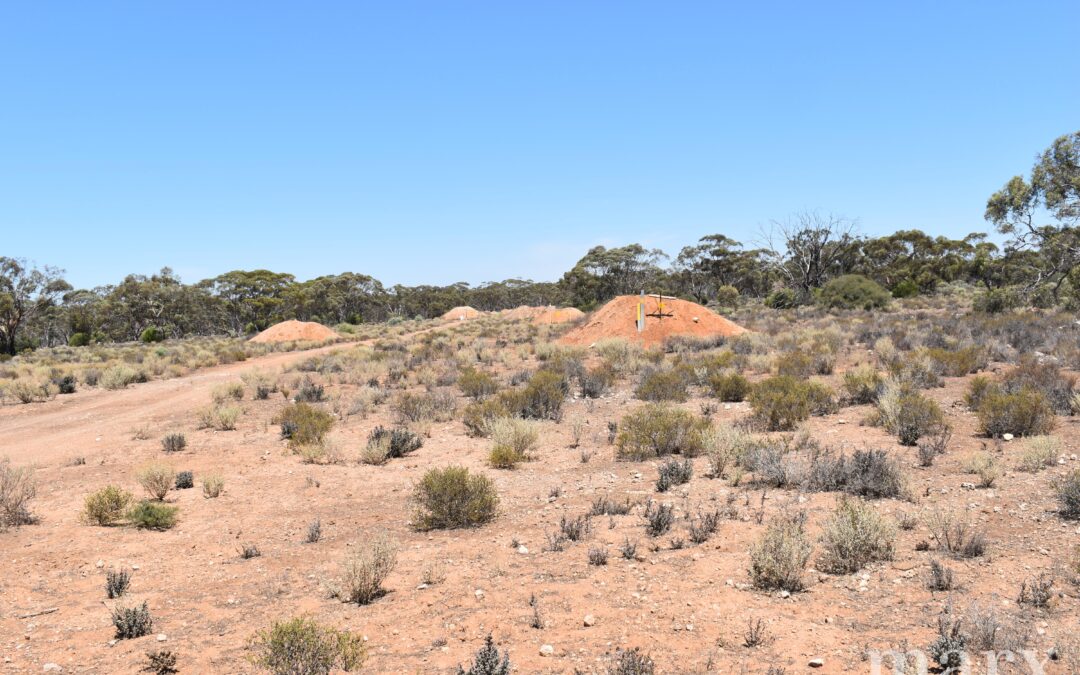 Section 273 Sturt Highway, SANDLETON, SA 5356 AUS