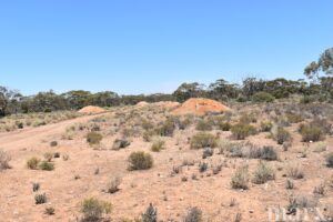 Section 273 Sturt Highway, SANDLETON, SA 5356 AUS