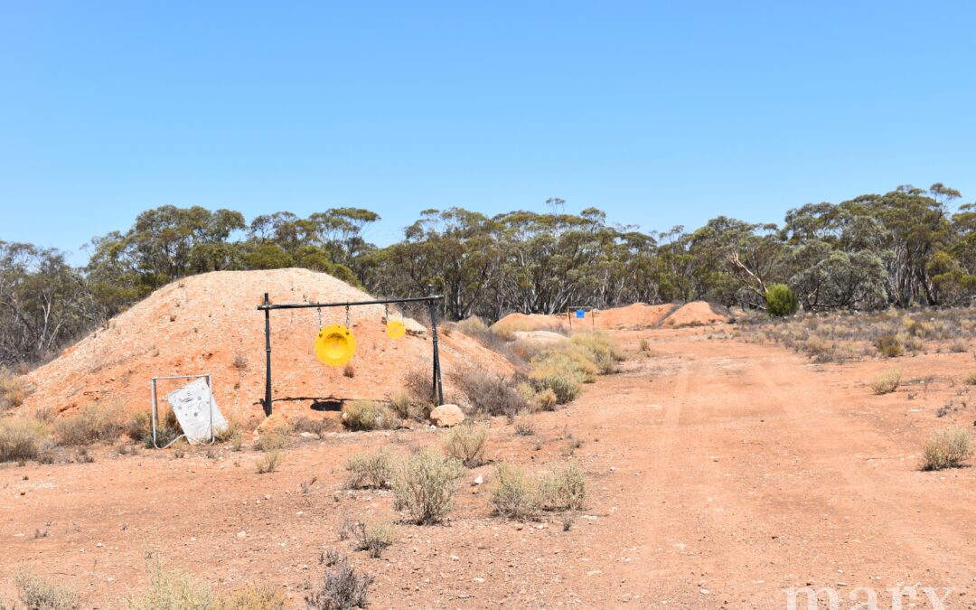Section 273 Sturt Highway, SANDLETON, SA 5356 AUS