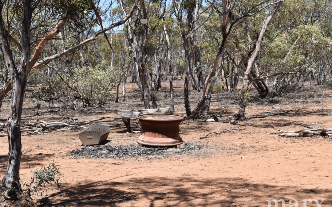 Section 273 Sturt Highway, SANDLETON, SA 5356 AUS