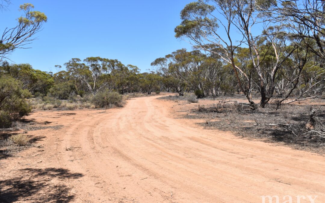 Section 273 Sturt Highway, SANDLETON, SA 5356 AUS