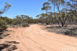 Section 273 Sturt Highway, SANDLETON, SA 5356 AUS