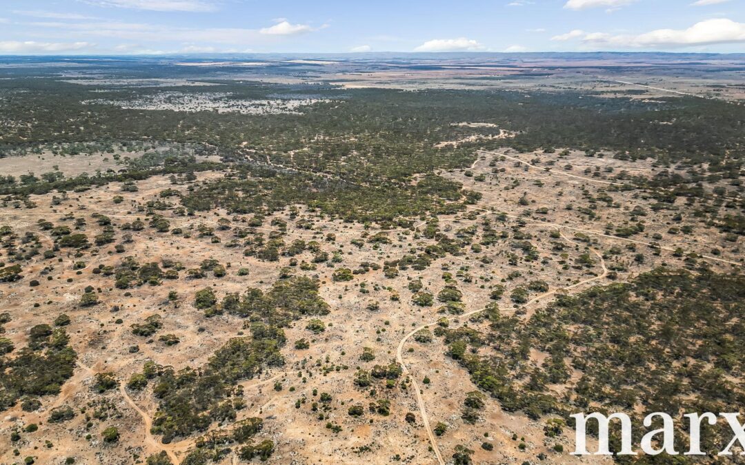 Section 273 Sturt Highway, SANDLETON, SA 5356 AUS