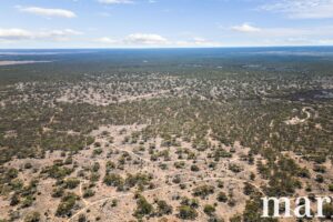 Section 273 Sturt Highway, SANDLETON, SA 5356 AUS