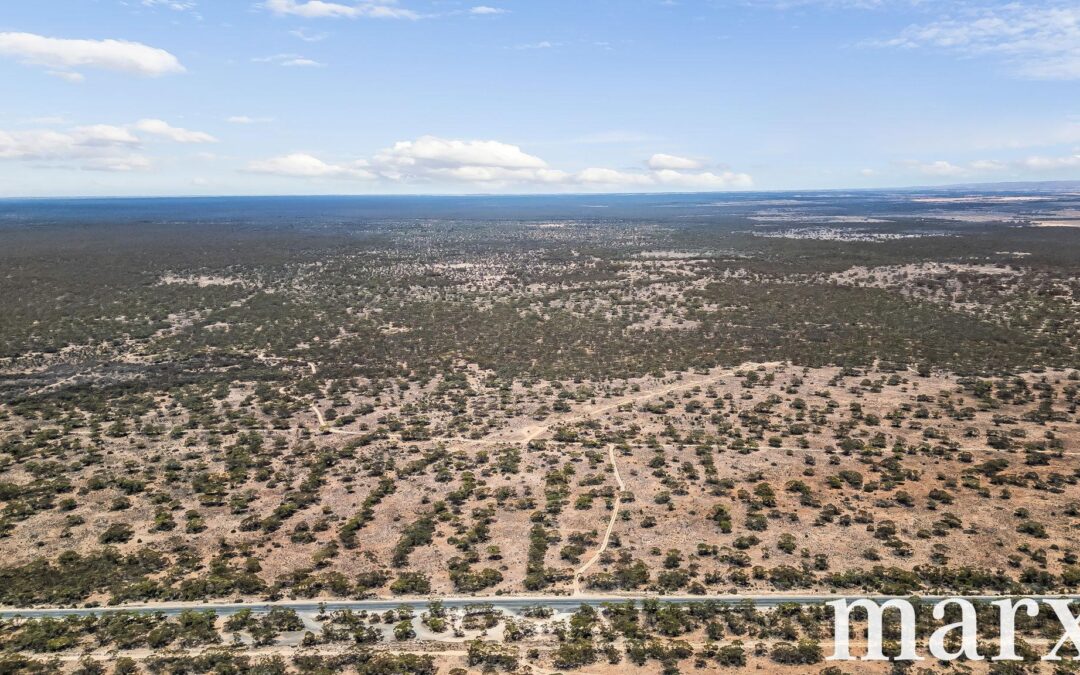 Section 273 Sturt Highway, SANDLETON, SA 5356 AUS