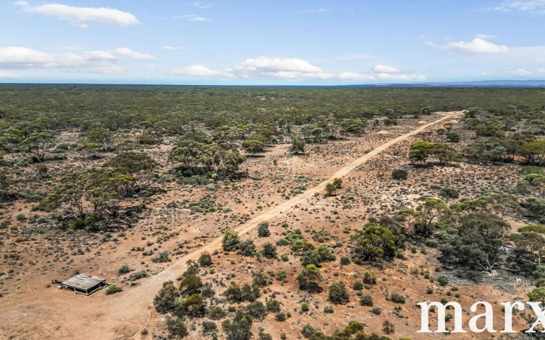 Section 273 Sturt Highway, SANDLETON, SA 5356 AUS