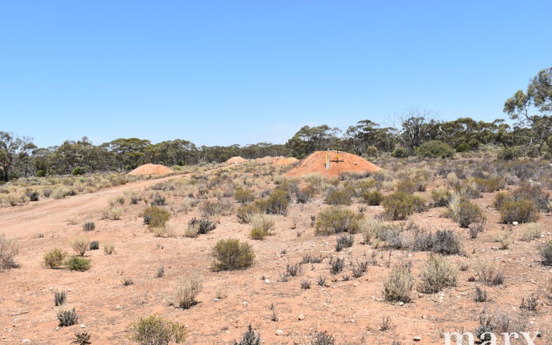 Section 273 Sturt Highway, SANDLETON, SA 5356 AUS