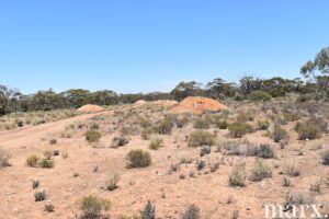 Section 273 Sturt Highway, SANDLETON, SA 5356 AUS