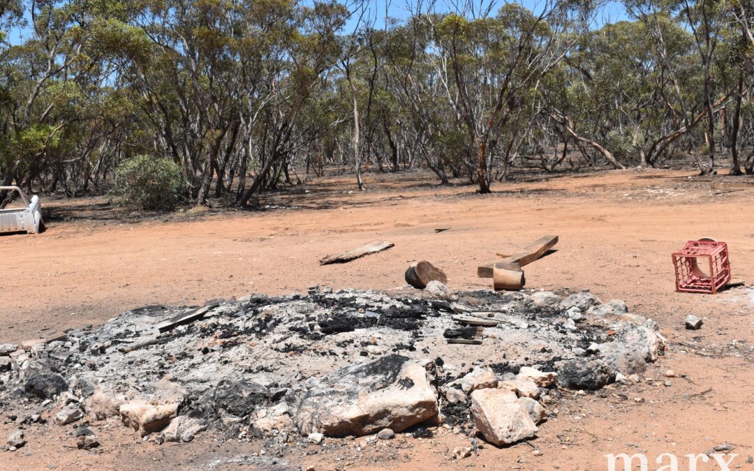 Section 273 Sturt Highway, SANDLETON, SA 5356 AUS