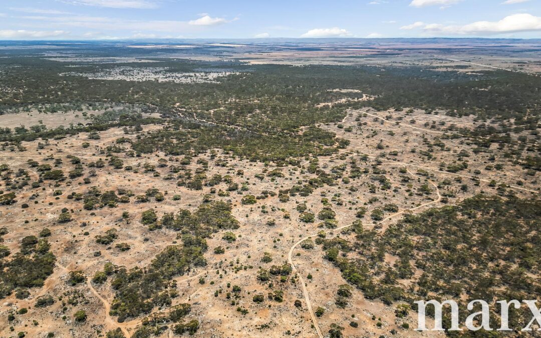 Section 273 Sturt Highway, SANDLETON, SA 5356 AUS