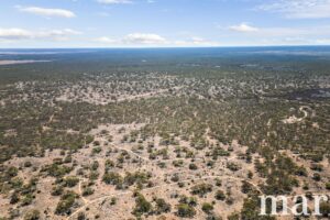 Section 273 Sturt Highway, SANDLETON, SA 5356 AUS