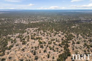 Section 273 Sturt Highway, SANDLETON, SA 5356 AUS