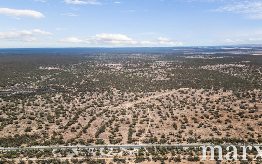 Section 273 Sturt Highway, SANDLETON, SA 5356 AUS