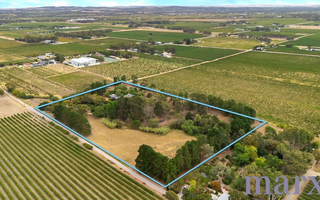 993a Light Pass Road, VINE VALE, SA 5352 AUS