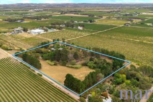 993a Light Pass Road, VINE VALE, SA 5352 AUS