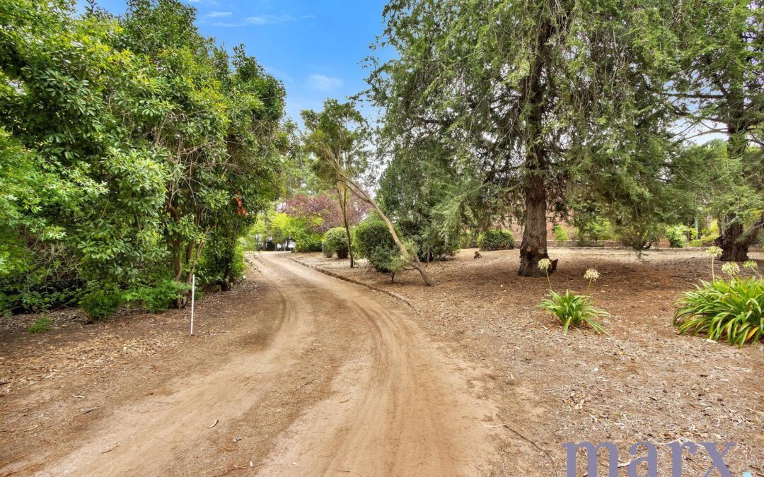 993a Light Pass Road, VINE VALE, SA 5352 AUS
