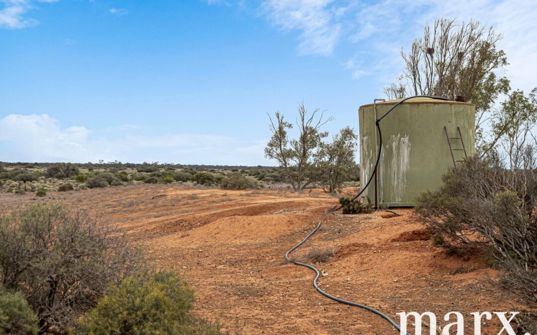 701 Diagonal Road, SANDLETON, SA 5356 AUS