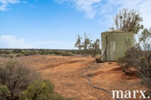 701 Diagonal Road, SANDLETON, SA 5356 AUS