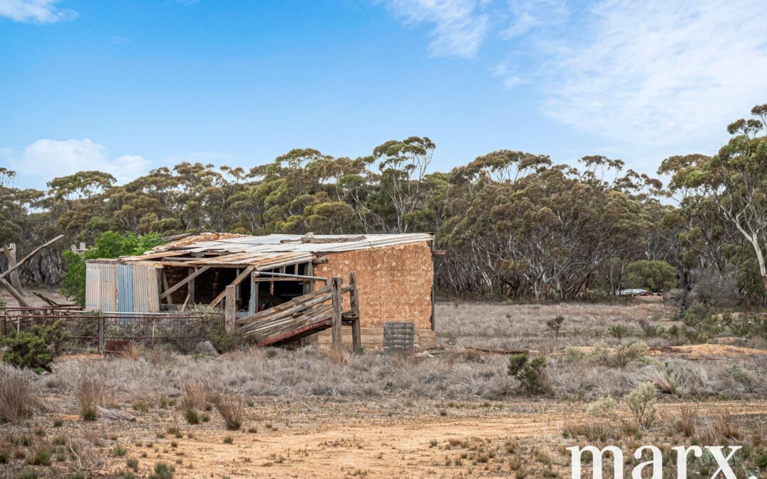 701 Diagonal Road, SANDLETON, SA 5356 AUS