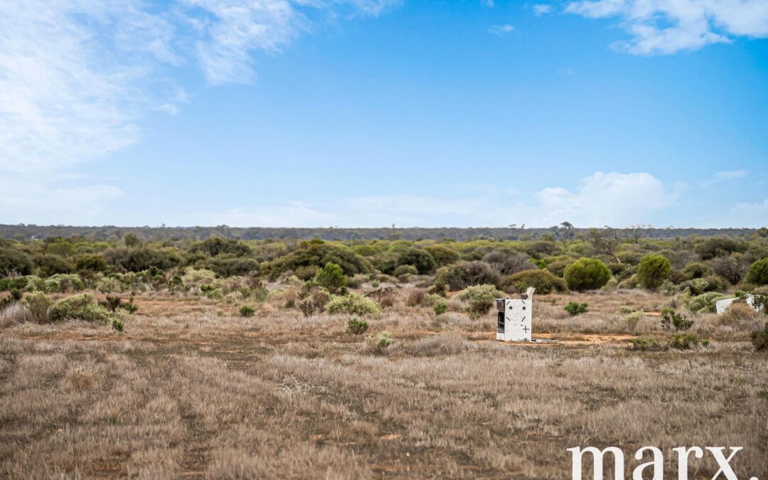 701 Diagonal Road, SANDLETON, SA 5356 AUS