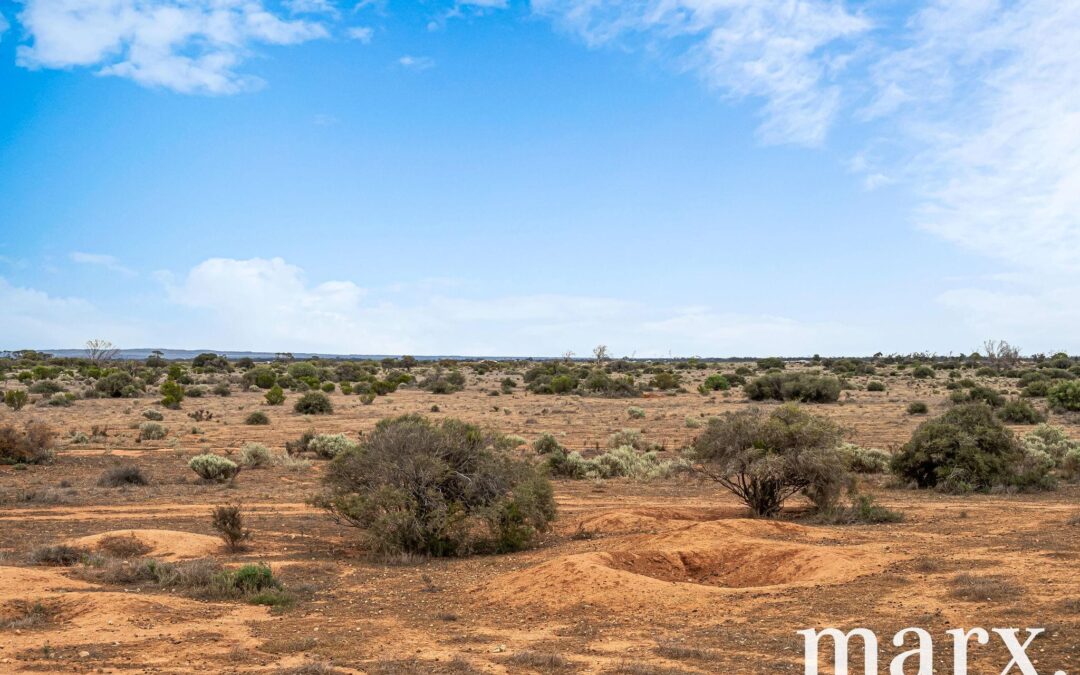 701 Diagonal Road, SANDLETON, SA 5356 AUS