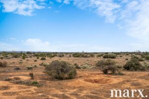 701 Diagonal Road, SANDLETON, SA 5356 AUS