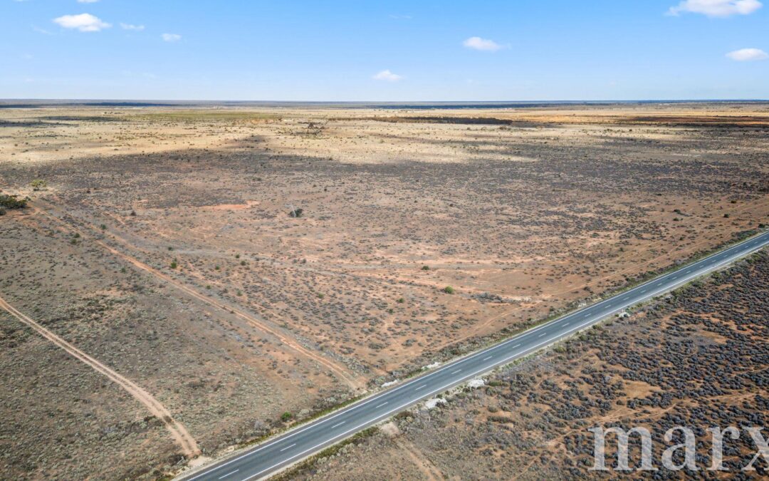 701 Diagonal Road, SANDLETON, SA 5356 AUS