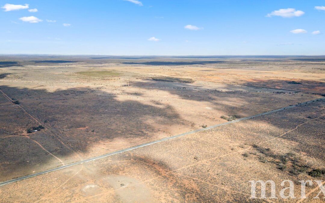 701 Diagonal Road, SANDLETON, SA 5356 AUS