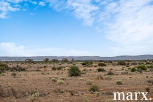 701 Diagonal Road, SANDLETON, SA 5356 AUS