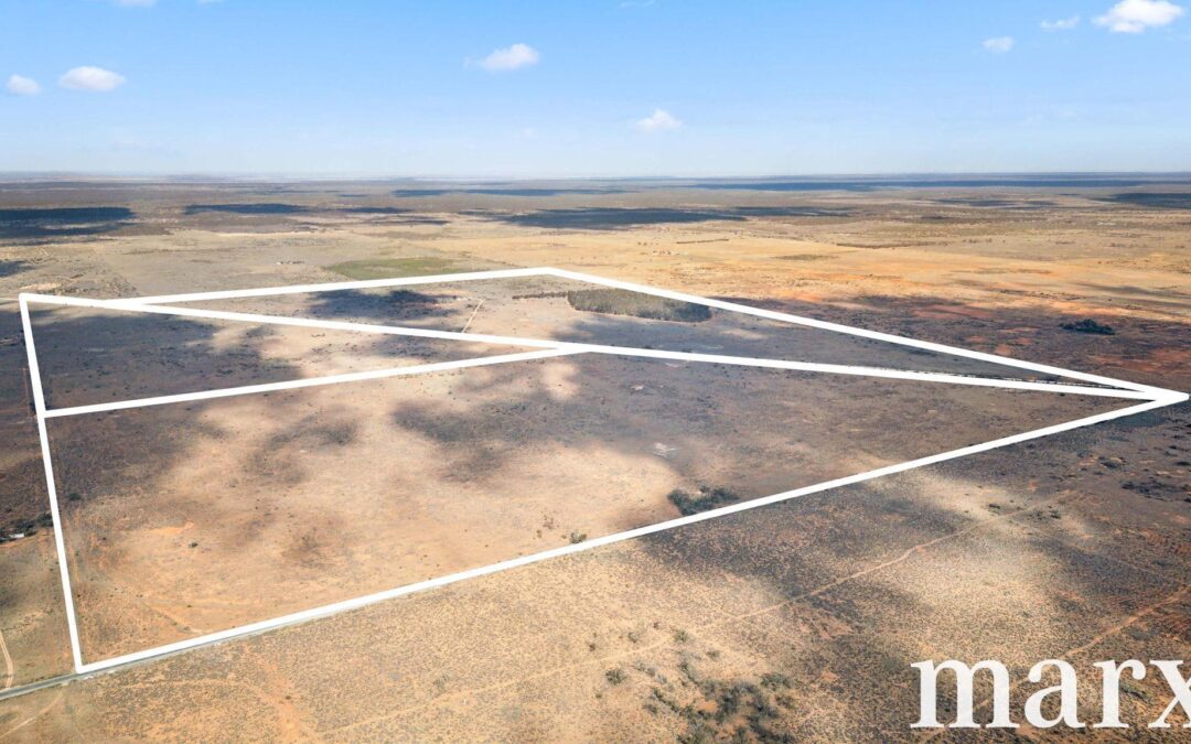701 Diagonal Road, SANDLETON, SA 5356 AUS