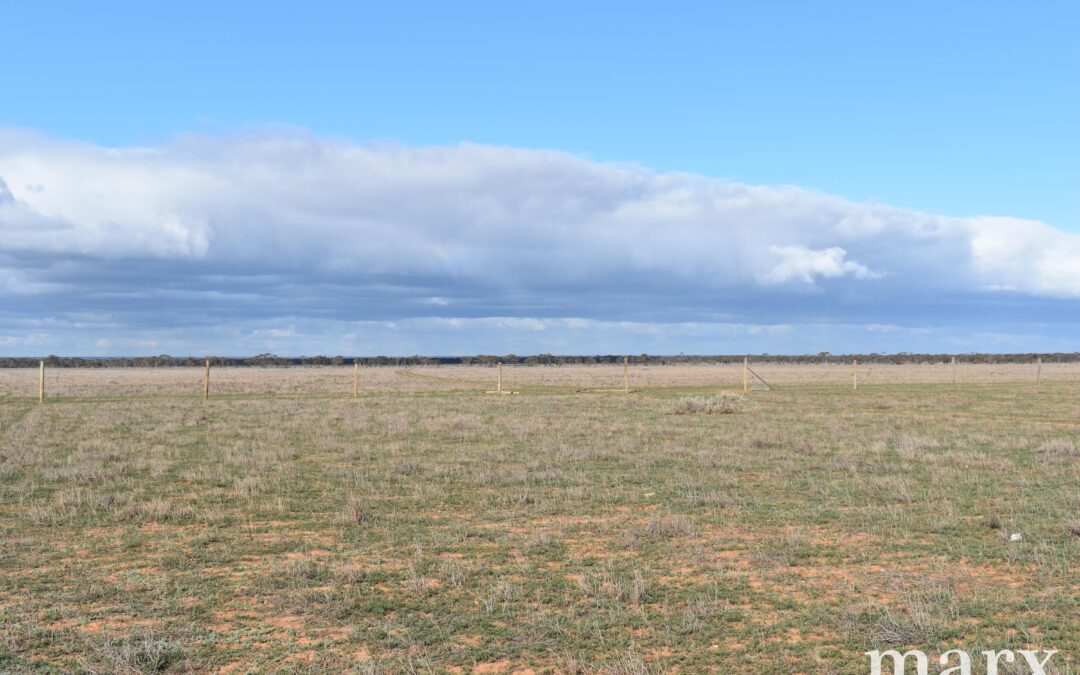 Lot 9 Bower Boundary Road, STEINFELD, SA 5356 AUS