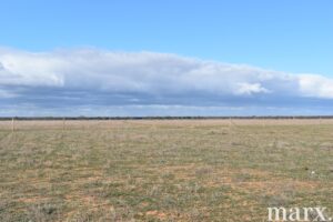 Lot 9 Bower Boundary Road, STEINFELD, SA 5356 AUS