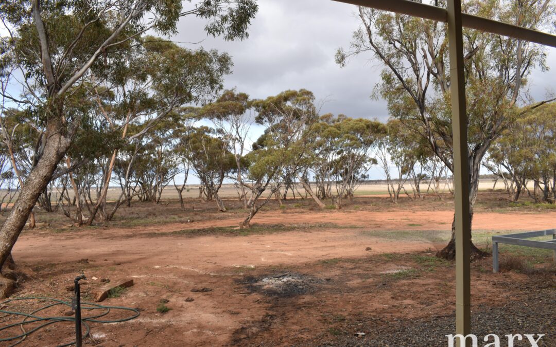 Lot 9 Bower Boundary Road, STEINFELD, SA 5356 AUS