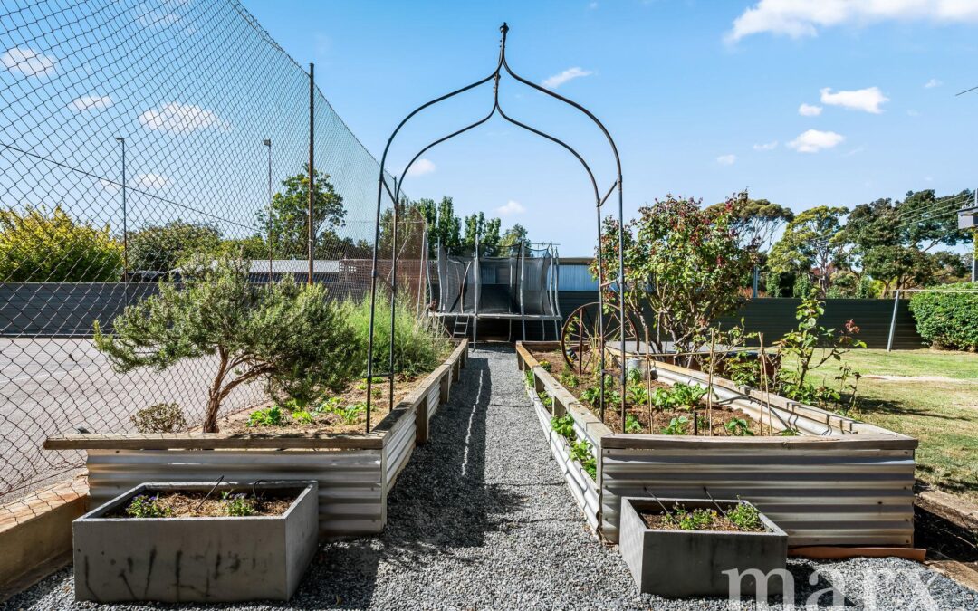 65 Angas Street, TANUNDA, SA 5352 AUS